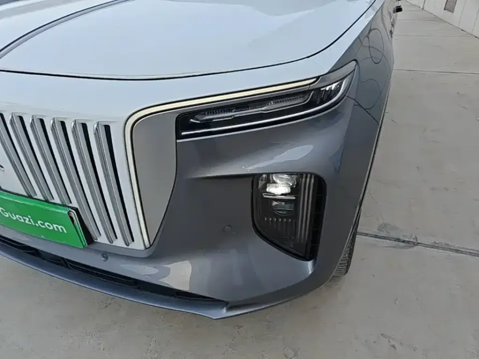 Hongqi Hongqi E-HS9