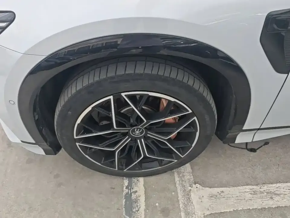 BYD L EV