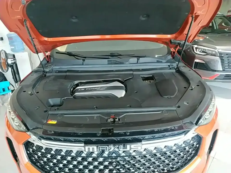 Maxus D60