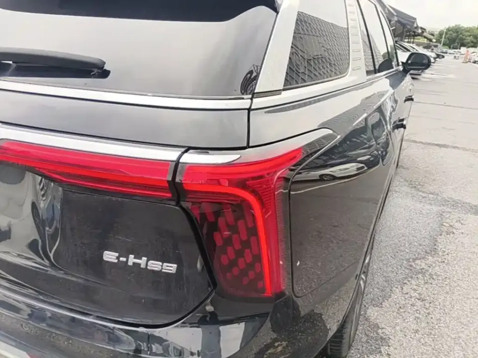 Hongqi Hongqi E-HS9