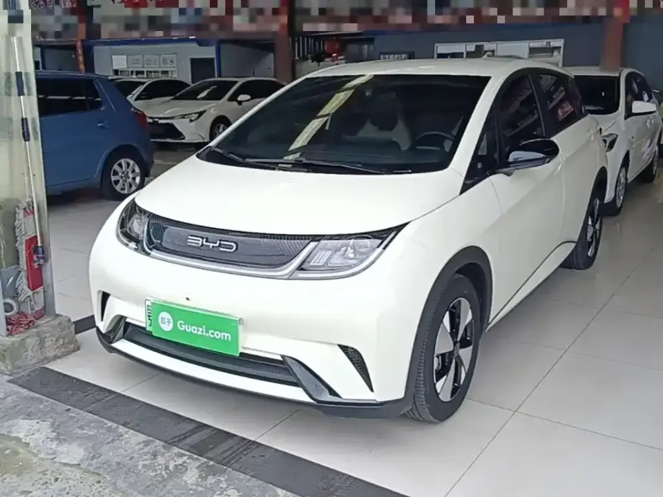 BYD Dolphin