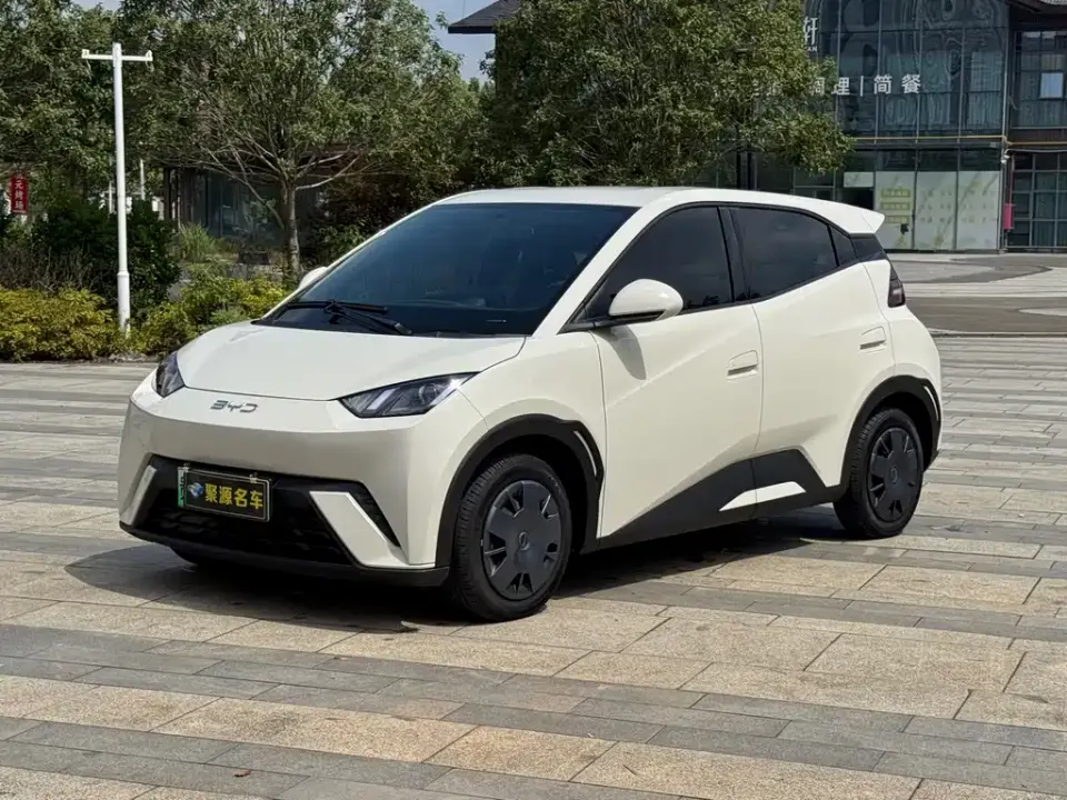 BYD Seagull