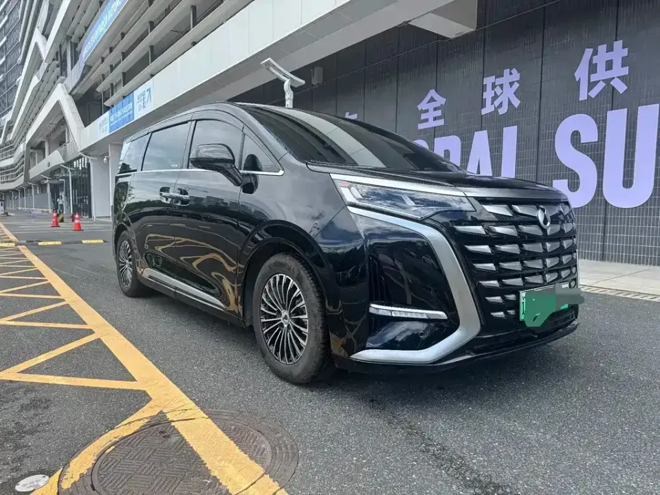 Denza Denza D9