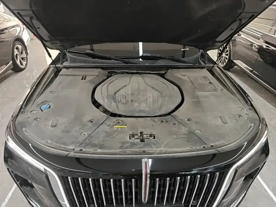 Hongqi Hongqi H9