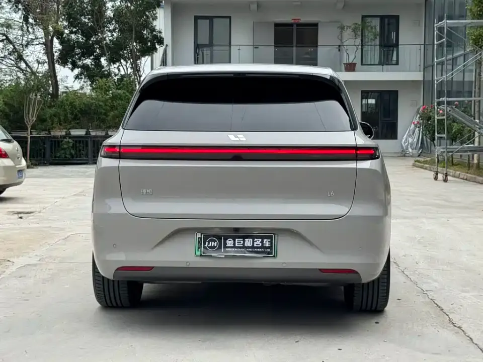 Li Li L6