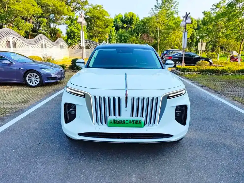 Hongqi Hongqi E-HS9