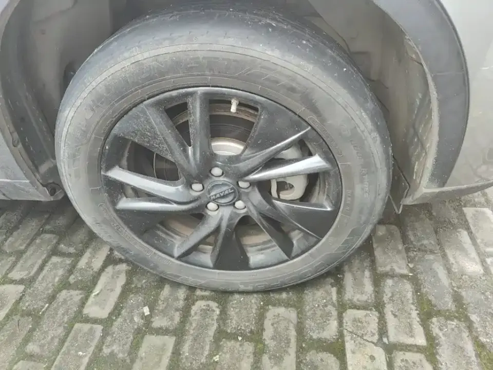 Haval H6 New Energy
