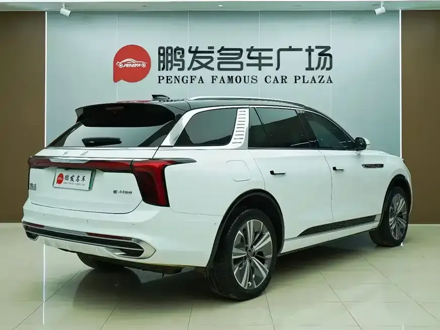 Hongqi Hongqi E-HS9