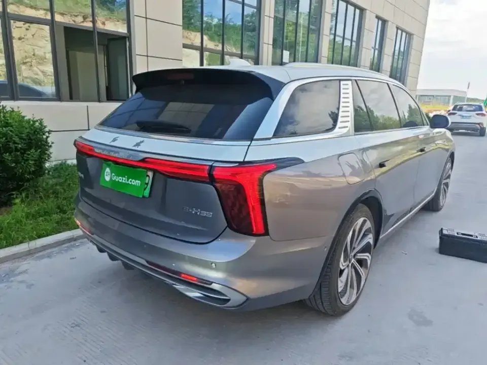 Hongqi Hongqi E-HS9