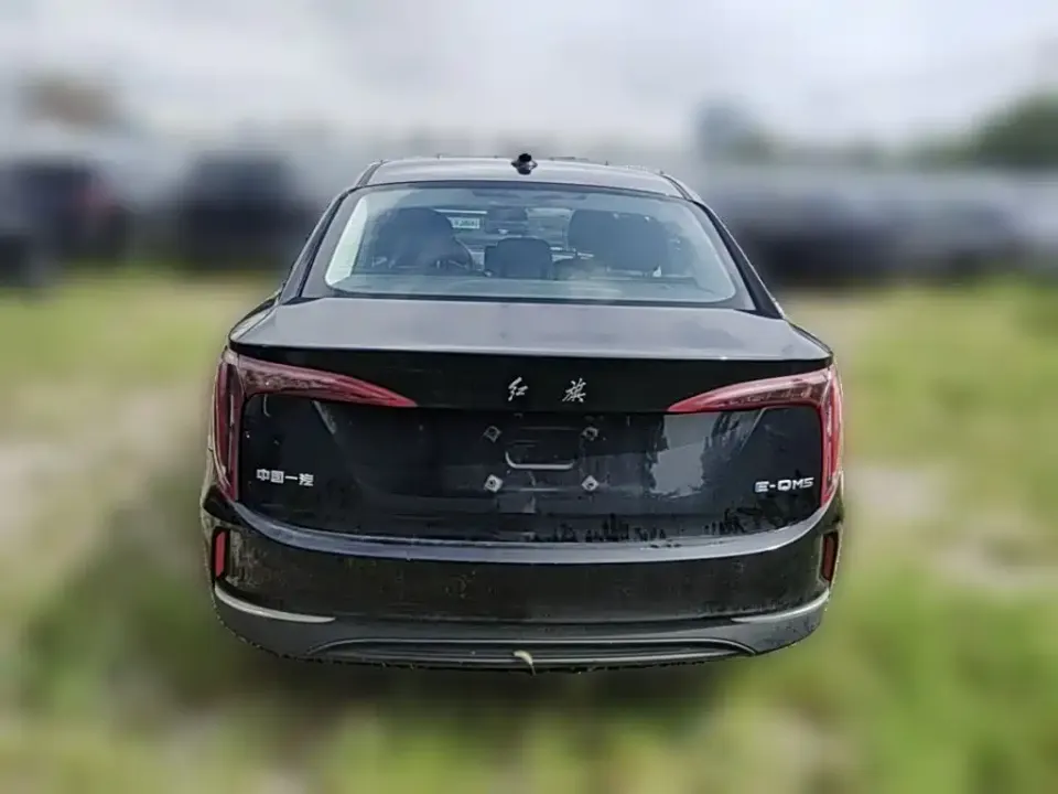 Hongqi Hongqi E-QM5