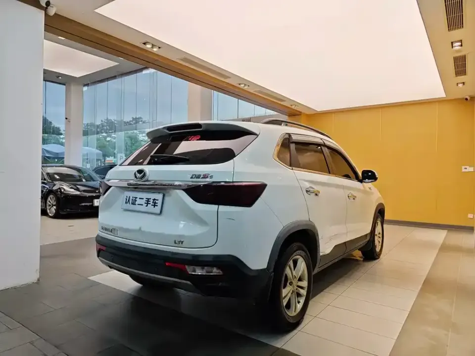 Huasu Huansu S5