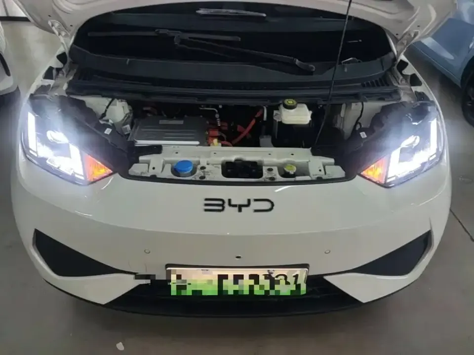 BYD Seagull