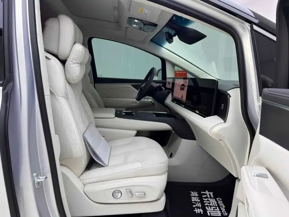 Buick Electra Encasa
