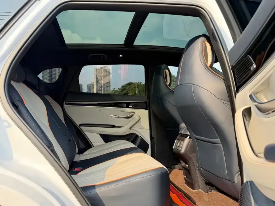 BYD PLUS New Energy