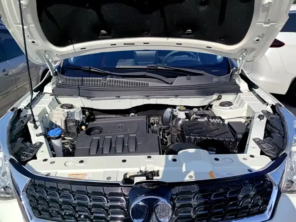 BAIC Senova X35