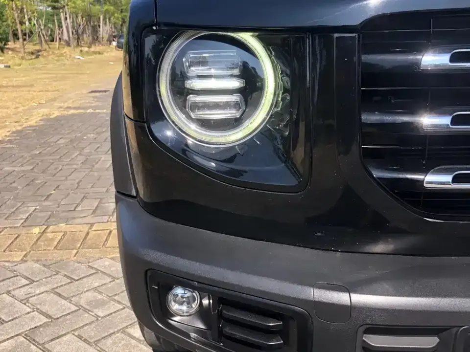 Haval Big Dog