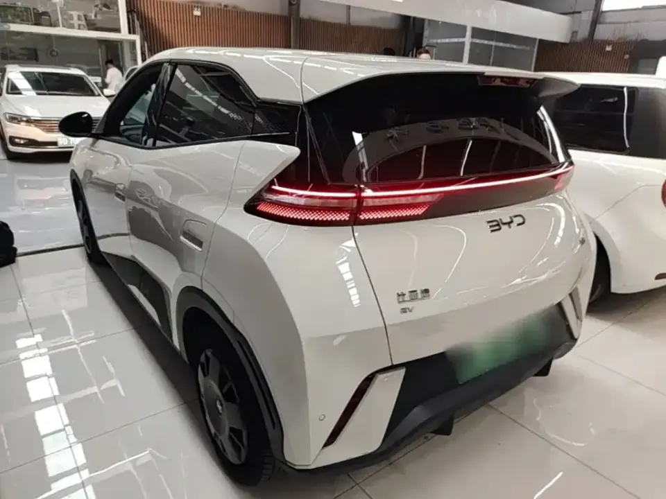 BYD Seagull