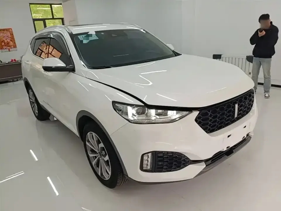 WEY Wey VV6
