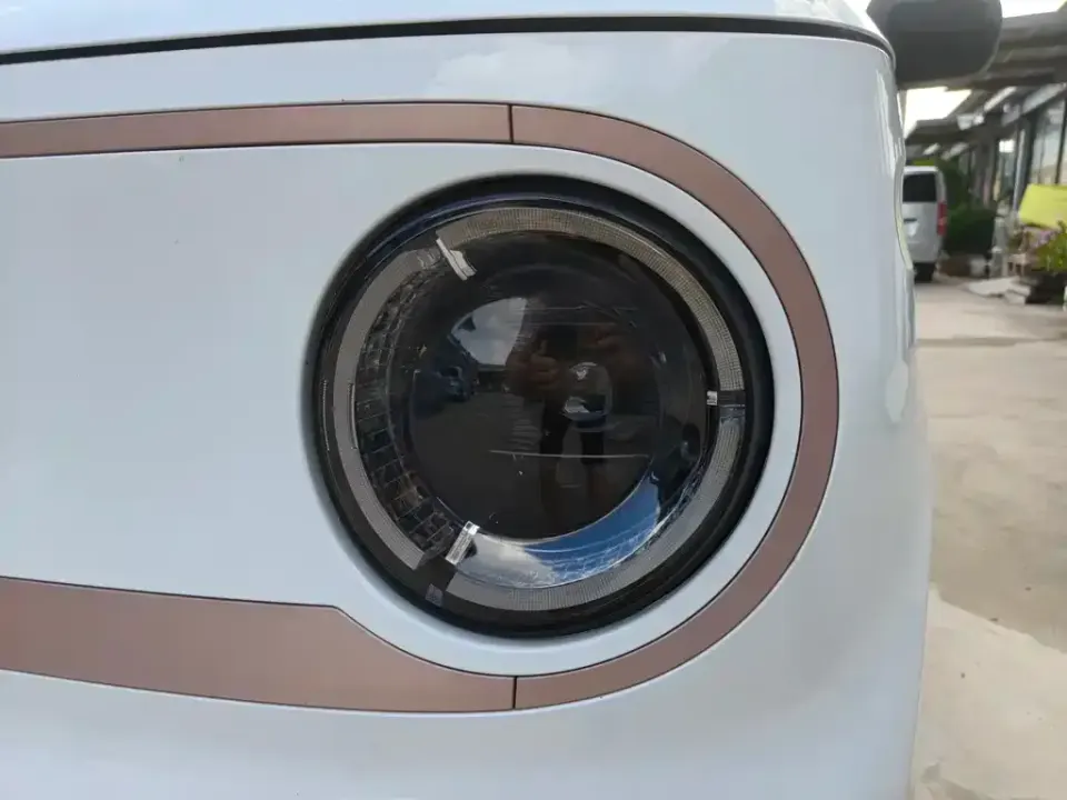Galaxy Panda