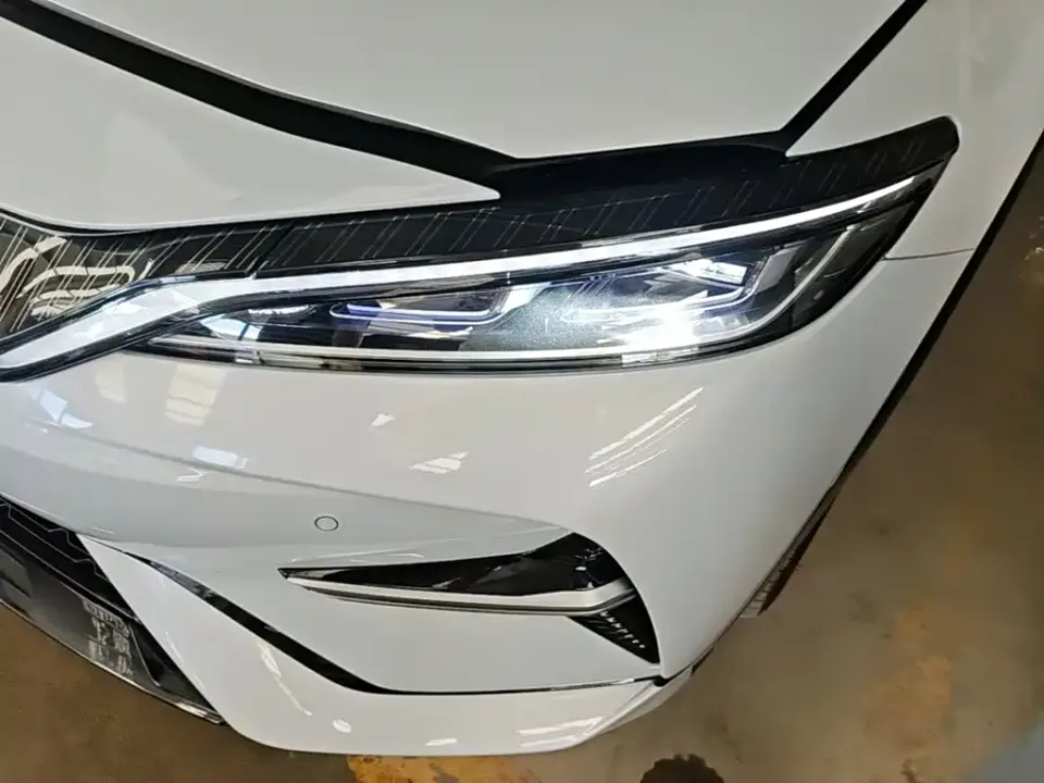 BYD L EV