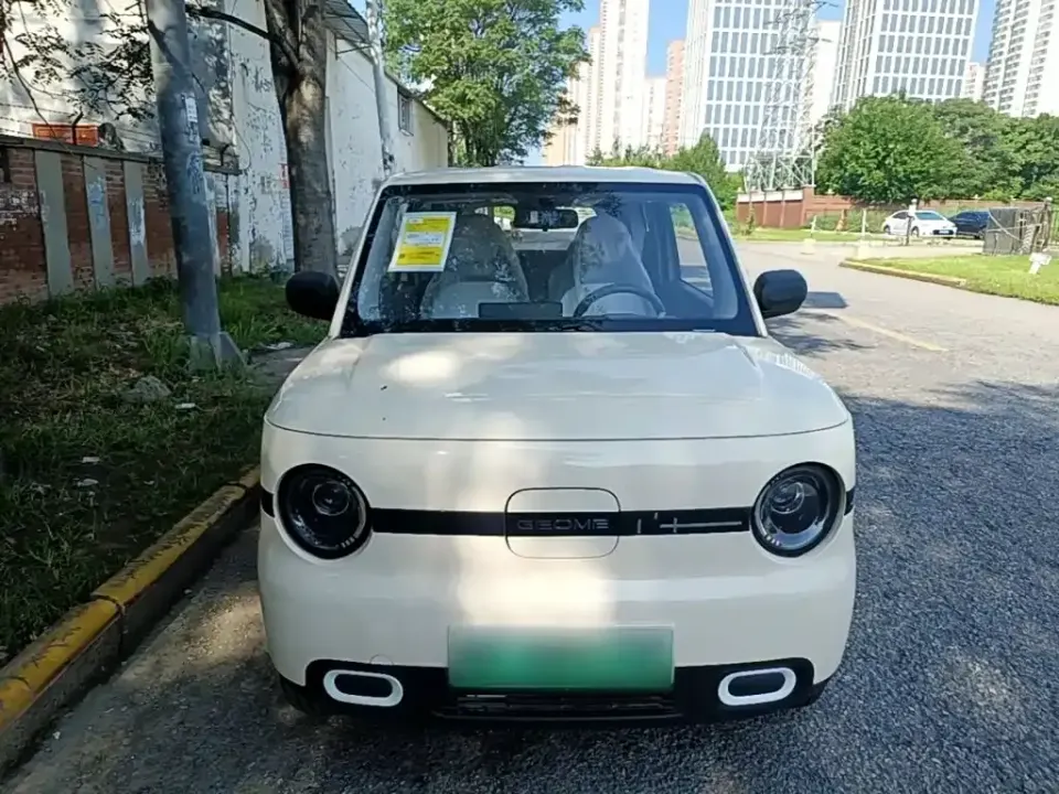 Galaxy Panda