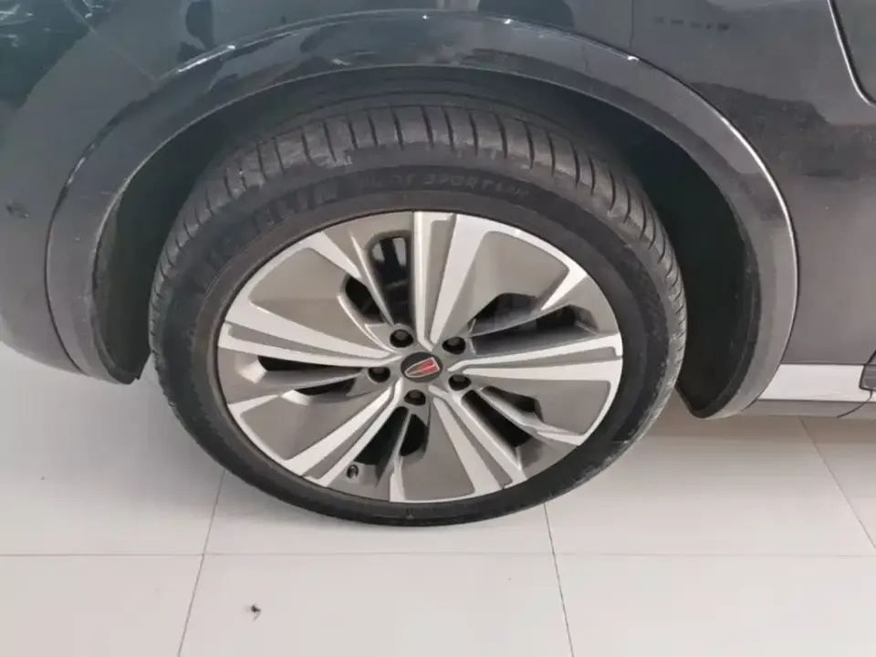Hongqi Hongqi E-HS9
