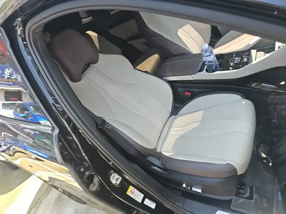 BYD PLUS New Energy