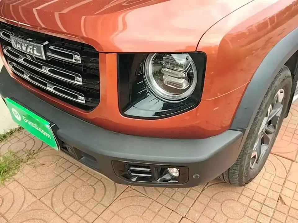 Haval Big Dog