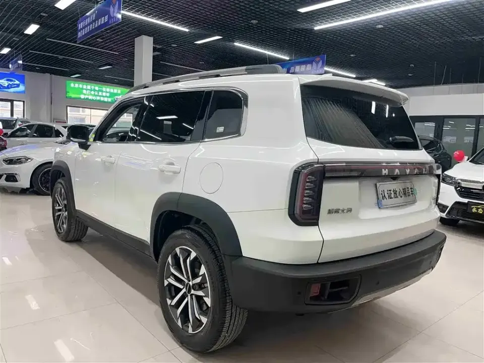 Haval Big Dog