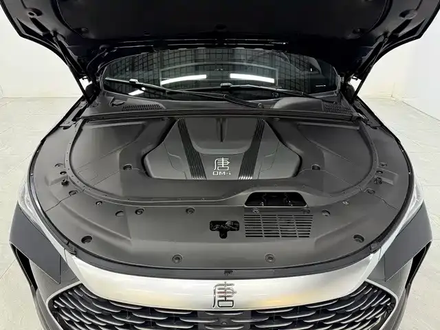 BYD Tang New Energy