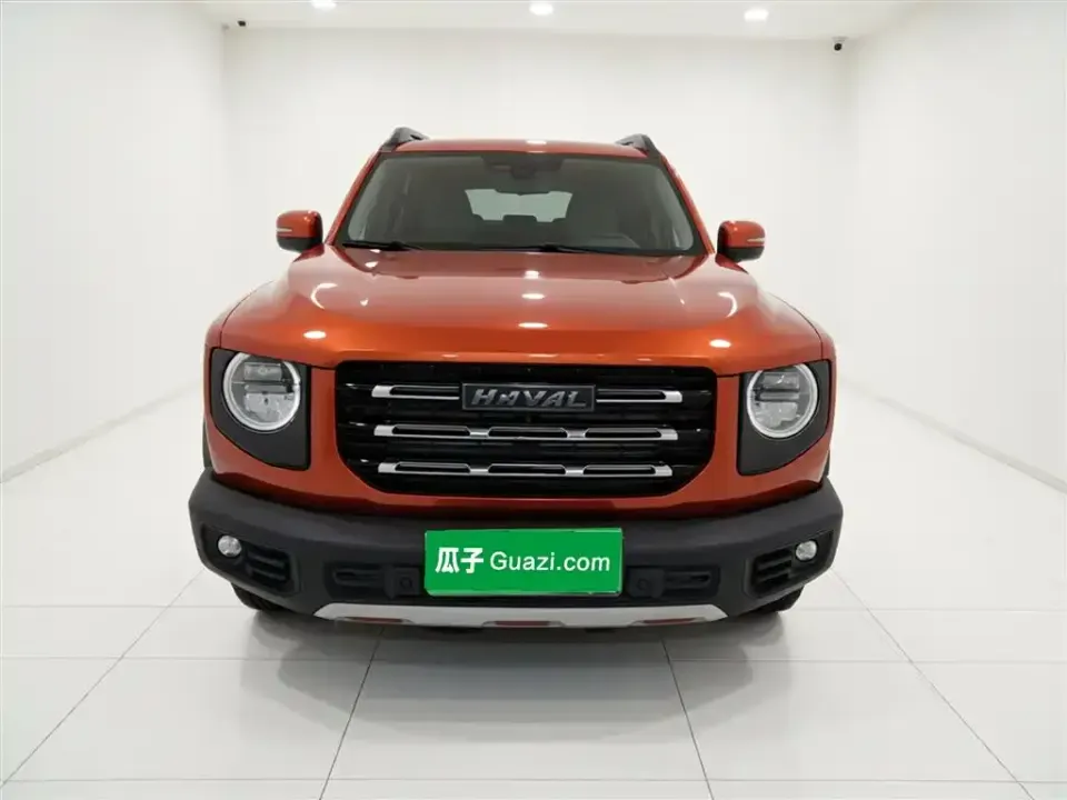 Haval Big Dog