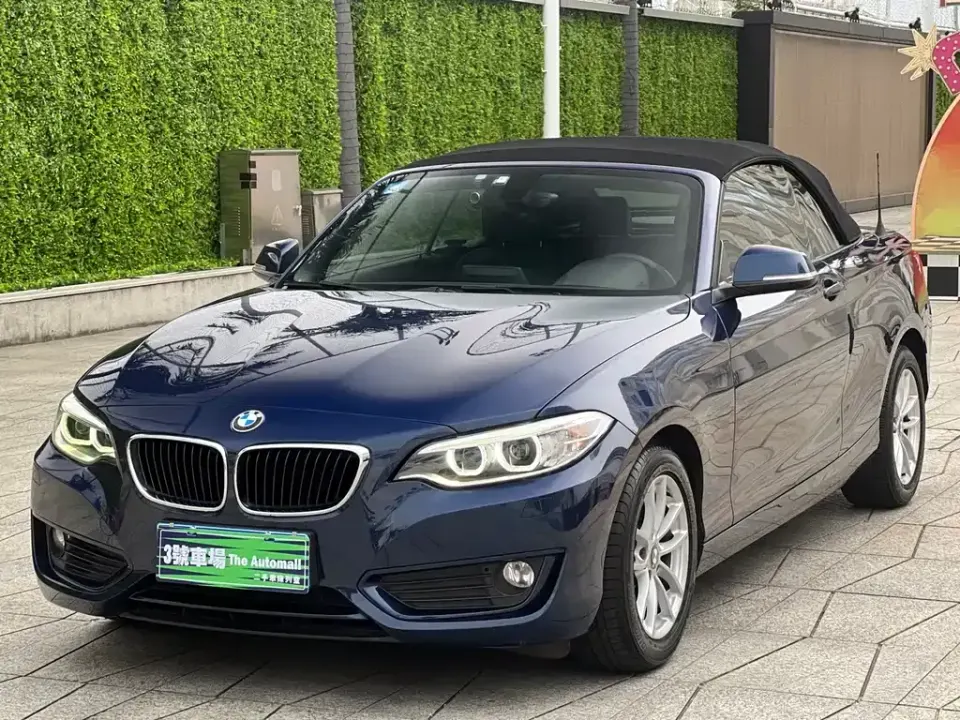 BMW 2 Series (Import)