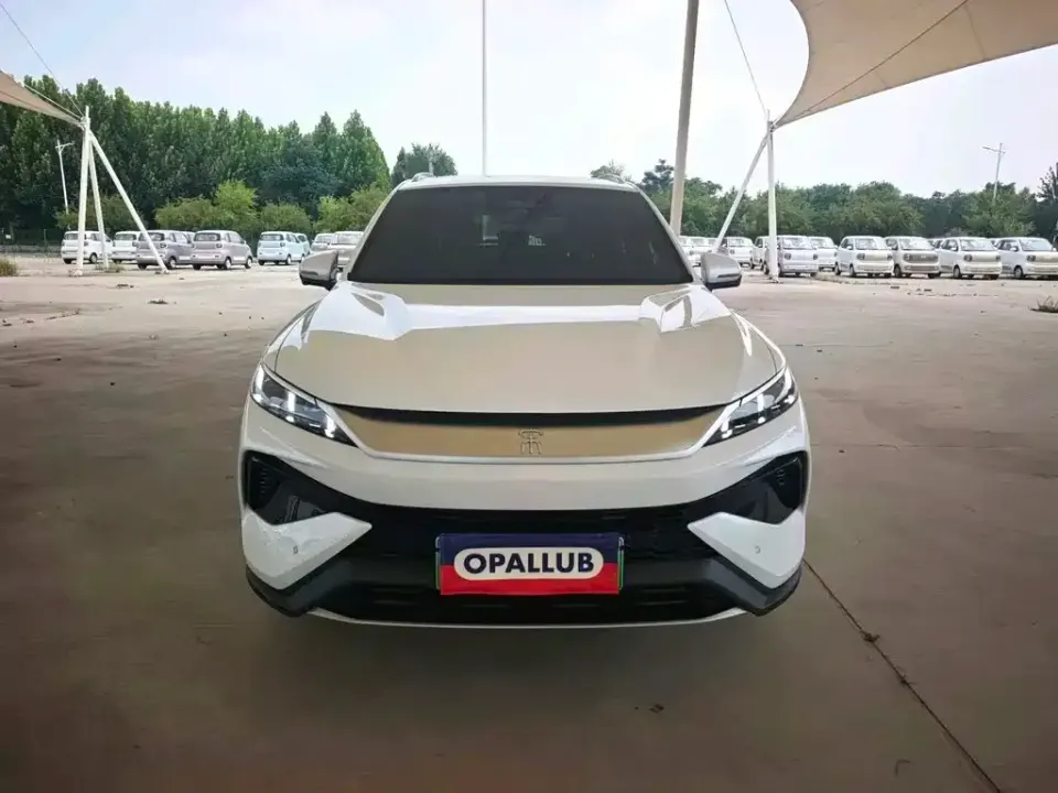 BYD Pro New Energy