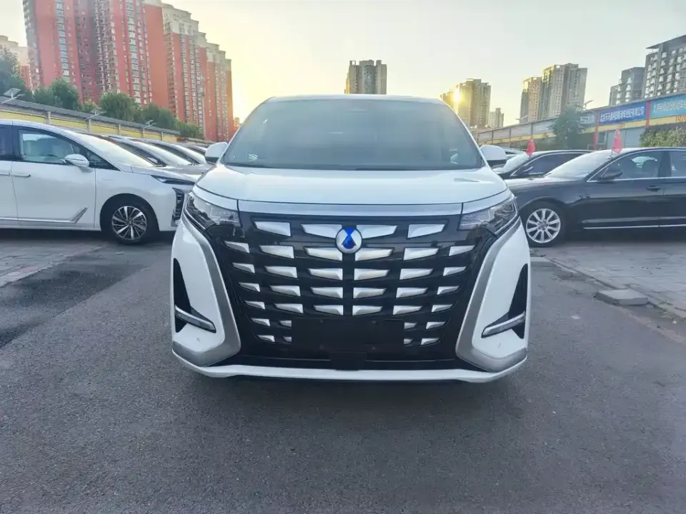 Denza Denza D9