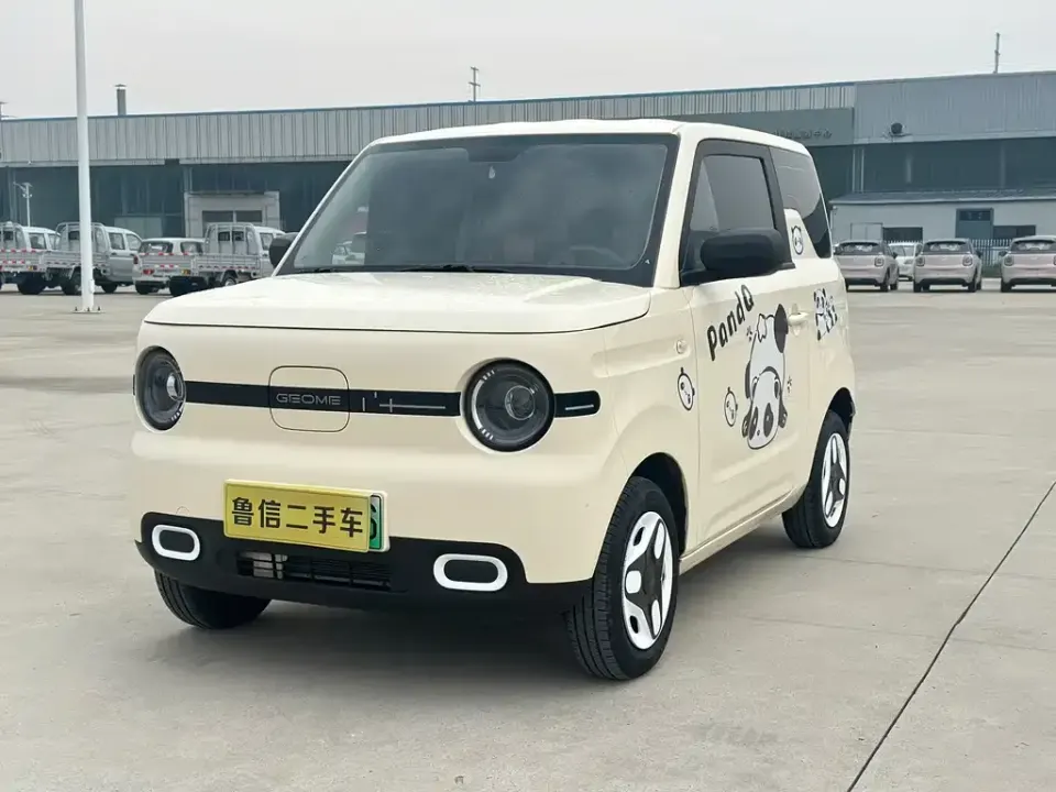 Galaxy Panda