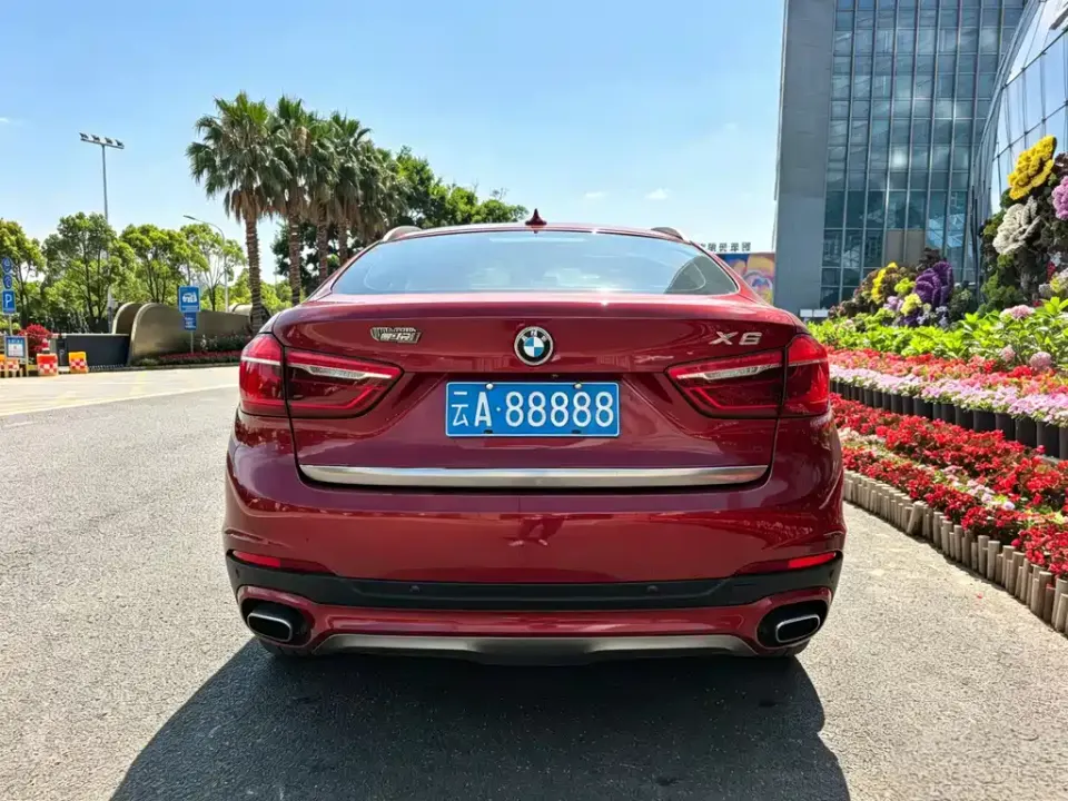 BMW X6