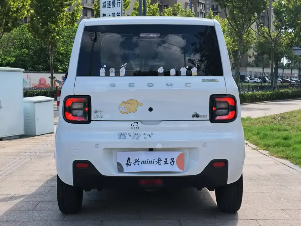 Galaxy Panda