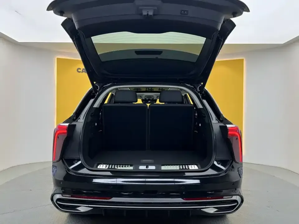 Hongqi Hongqi E-HS9