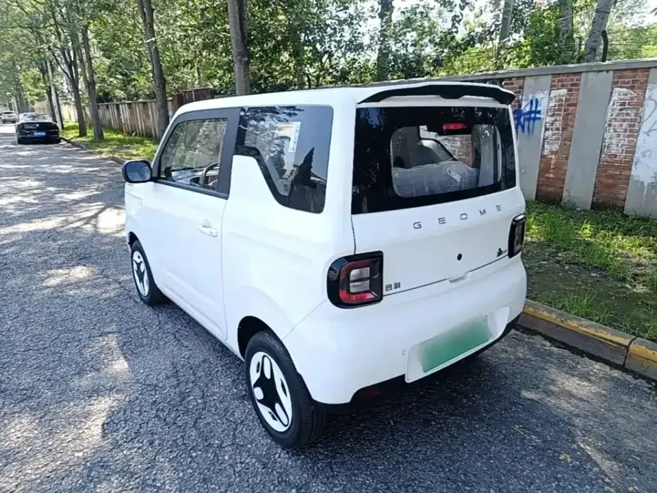 Galaxy Panda