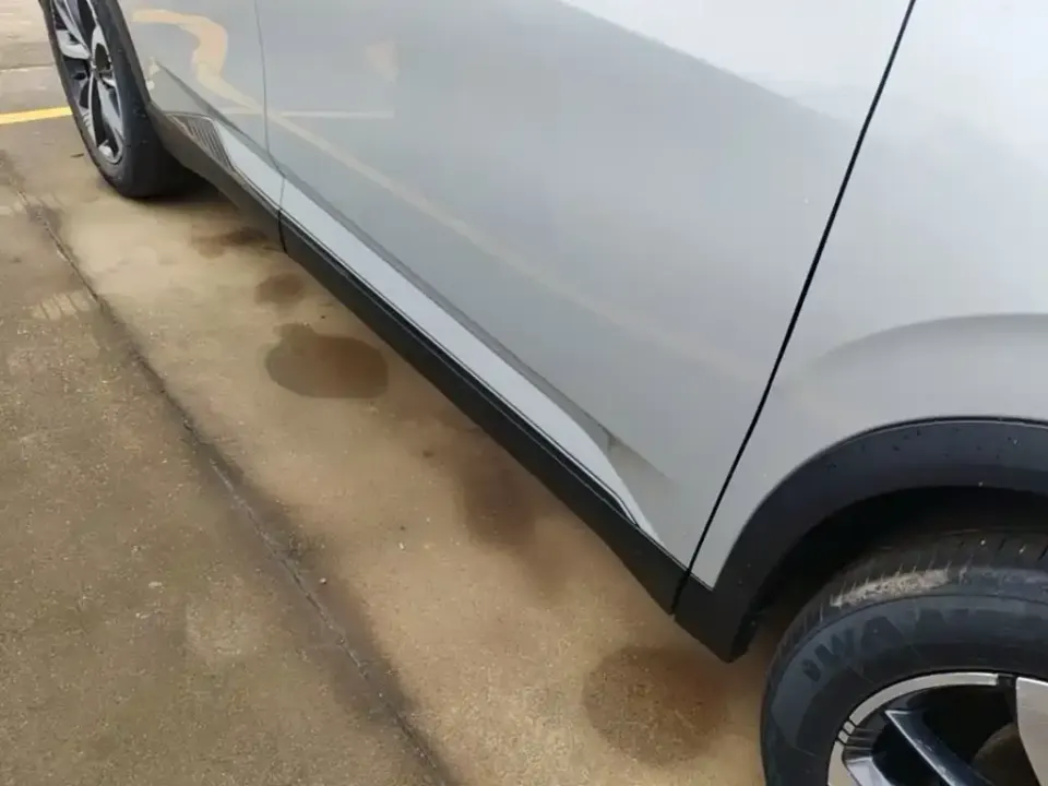Shijie Shijie 06