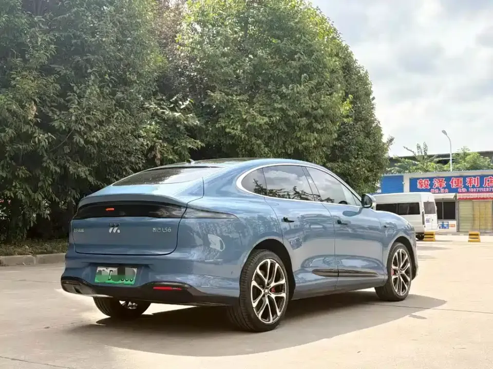 IM Motors IM LS6