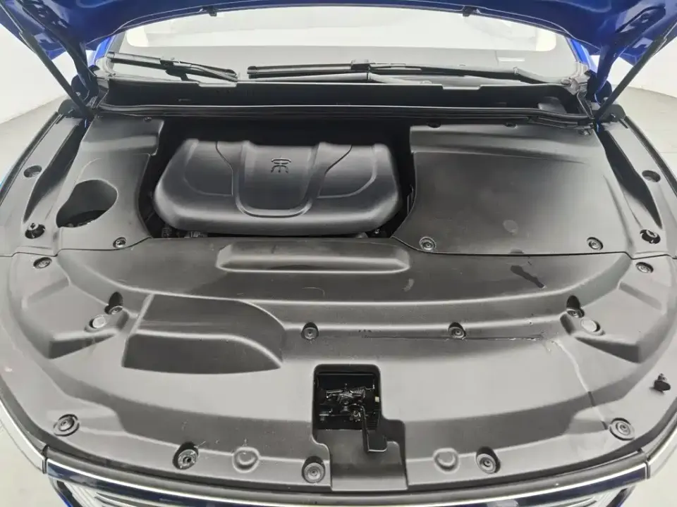 BYD MAX