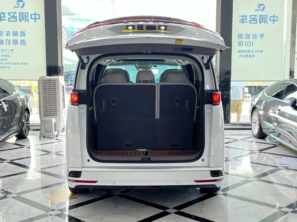 Denza Denza D9
