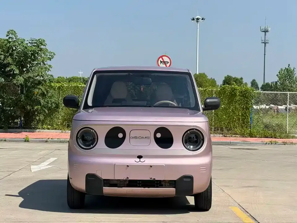 Galaxy Panda