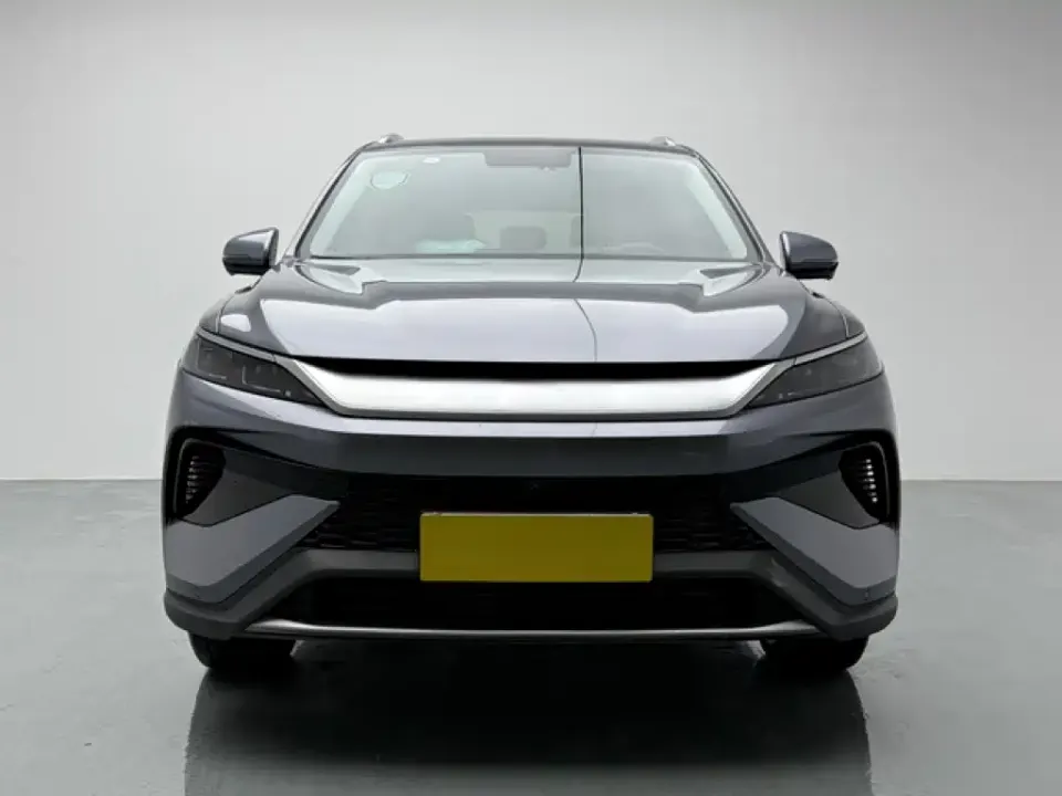 BYD Pro New Energy