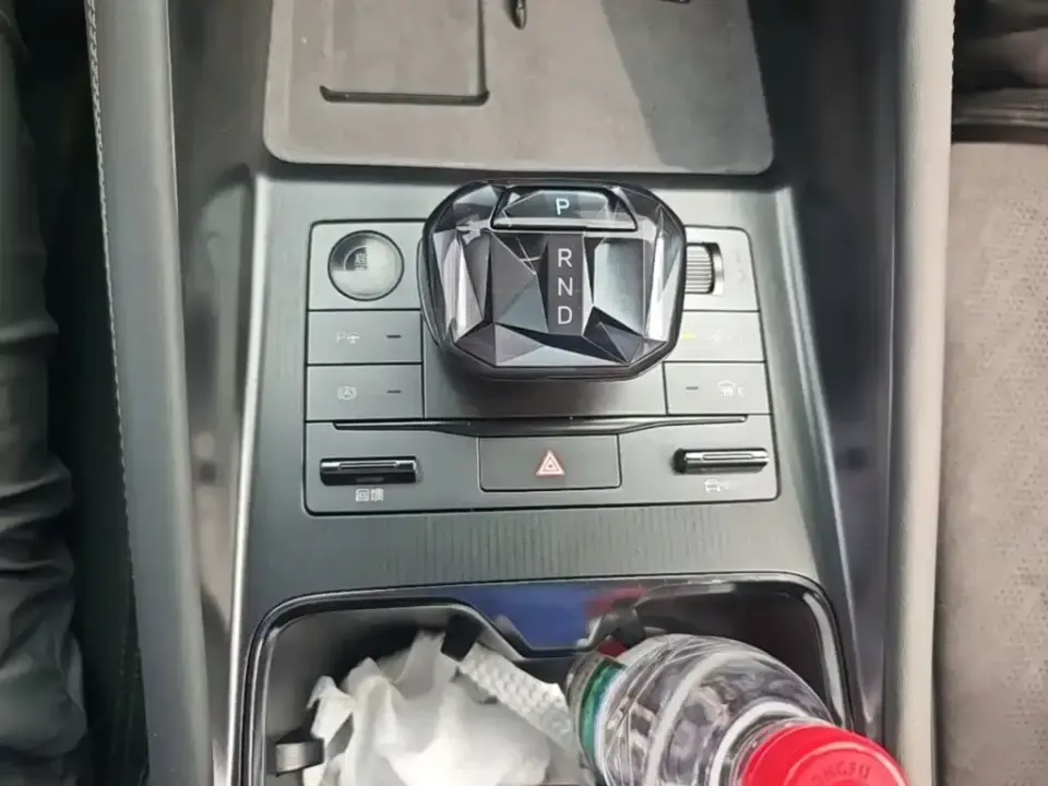 BYD L EV