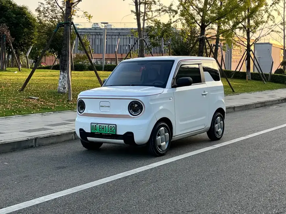 Galaxy Panda