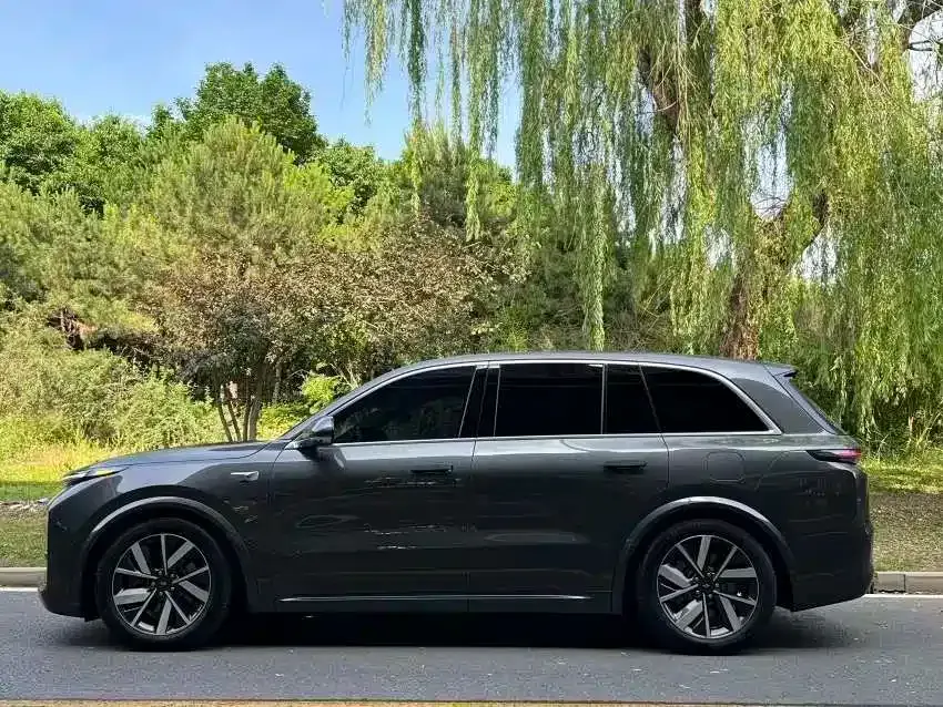 Li Li L8