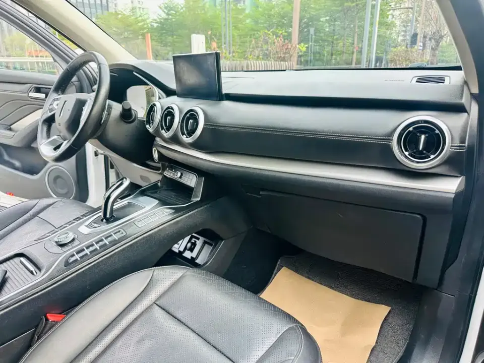 WEY Wey VV6