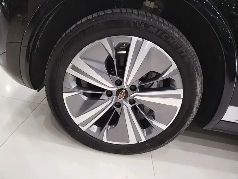 Hongqi Hongqi E-HS9